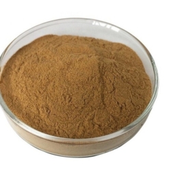 Ginkgo Biloba