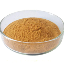 Green Tea Extracts