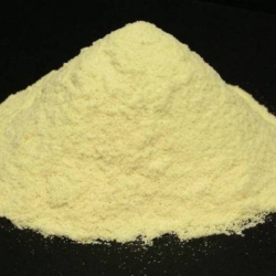 Colostrum Bovine