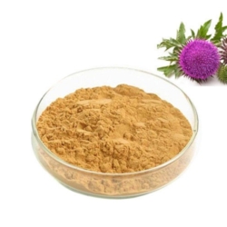 Silymarin {Milk Thistle}