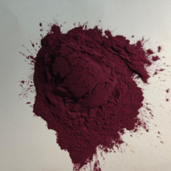 Billberry Extract