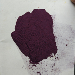Blue Berry